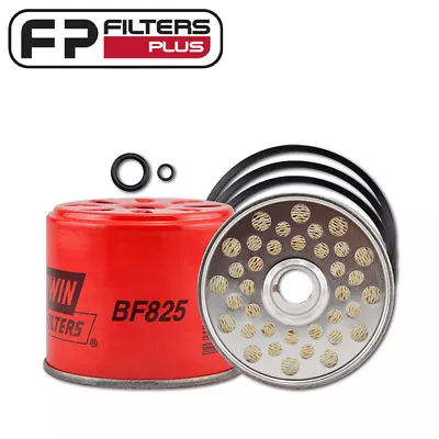 BF825 CAV Fuel Filter (RYCO R2132P) Suits 5836B100 Delphi Housings • $26.95