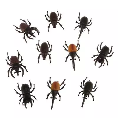 £5.04 • Buy 10pcs Plastic Beetle Insect Model Halloween Toys