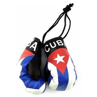 Mini Boxing Gloves For Cars • $9.99