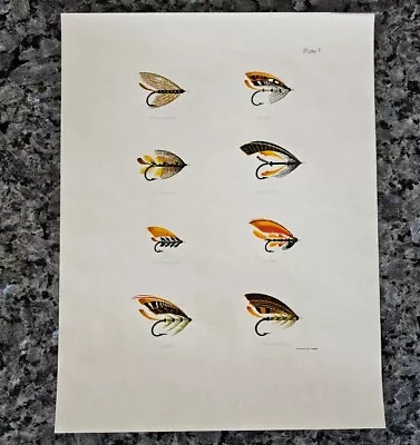 RARE Vintage Fly Fishing Art • Salmon Flies Plate 7 ☆ Wyman & Sons London 8x10  • $28