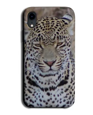 Frowning Leopard Face Phone Case Cover Sad Sadness Upset Leopards Funny Cat DD11 • £14.95