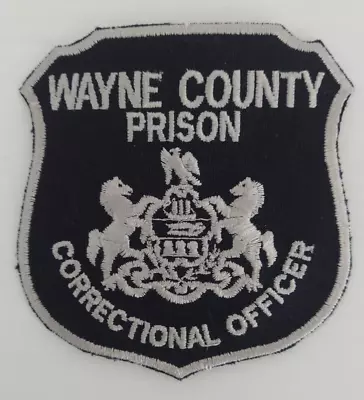 PA Official CORRECTIONAL OFFICER WAYNE COUNTY PRISON Patch • $10