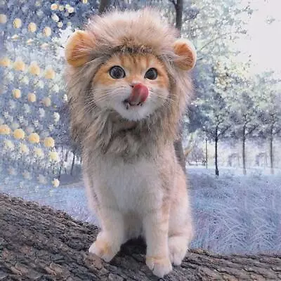 £4.28 • Buy CATS LION CLOTHES HAIR FUNNY PET MANE WIG Headgear HAT UP DRESS COSTUME D7A9