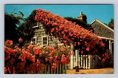 Cape Cod MA-Massachusetts Rose Covered Cottage Antique Vintage C1967 Postcard • $7.99