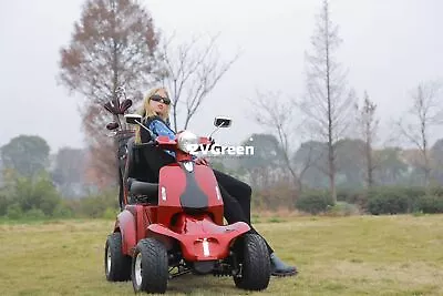 1000W Electric Golf Mobility Scooter Four Wheel Travel 60V 20AH For Adult Senior • $2899