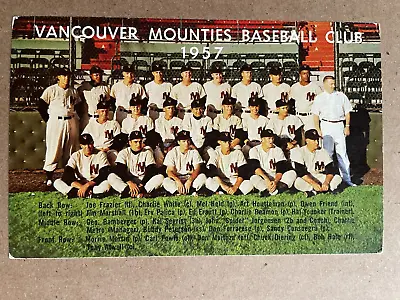 1957 Vancouver Mounties Pcl Baseball Club Team Photo Postcard • $165