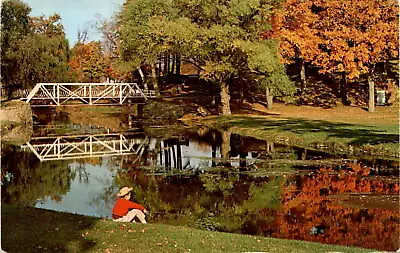 Vintage Musconetcong River Postcard Hackettstown NJ Scenic View • $10.75