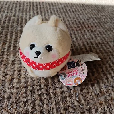 Amuse Dog Plush Puppy Kawaii Small With Tags • £5
