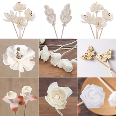 $3.18 • Buy Dried Flower Rattan Reed Stick Fragrance Oil Diffuser Refill Aroma Replacement 