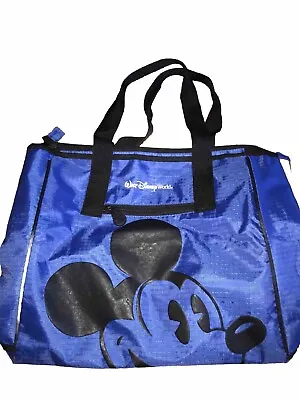 WALT DISNEY WORLD PARKS  ZIPPER TOTE BAG With Handles Blue • $9.99