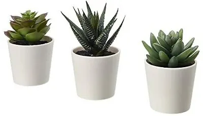 203.953.31 FEJKA Mini Artificial Succulent Desk Plants In Pots 6 Centimetres 3 • £9.04