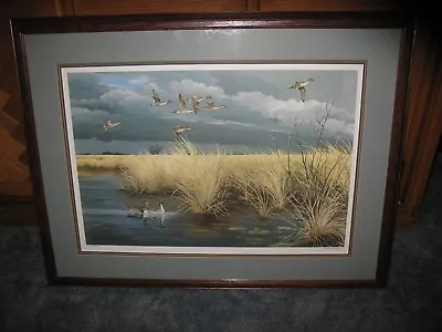 VTG Maynard Reece  Dark Sky Pintails  Signed & Numbered Framed & Matted Picture • $159.99