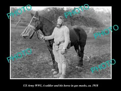 OLD POSTCARD SIZE PHOTO OF US ARMY WWI SOLDIER & HORSE WITH GAS MASK C1918 • $7