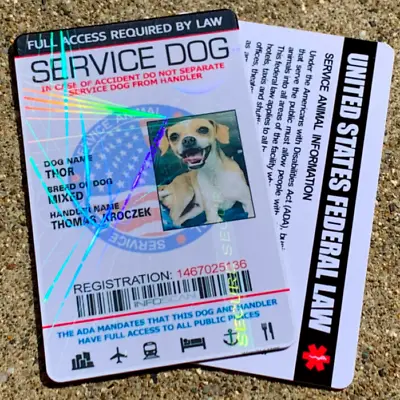 $15.99 • Buy Service Dog ID Card Customized Holographic 