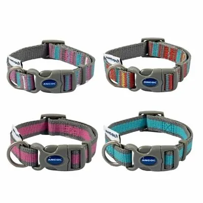 £5.95 • Buy Ancol Dog Collar Or Lead Puppy Adjustable Stripe 100 % Recycled Material S, M, L