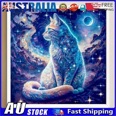 AU 5D DIY Full Round Drill Diamond Painting Cute Starry Sky Cat Home Decor 30x30 • $9.99