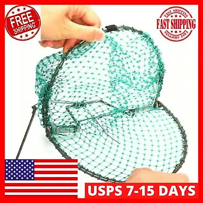 $17.99 • Buy Bird Nets Humane Traps Sparrow Pigeon Quail Live Catching Hunting Effective Mesh