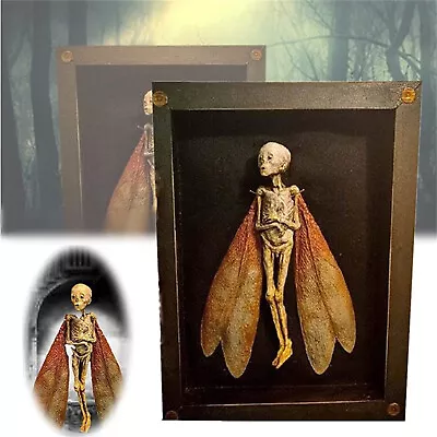 ⛄ Cursed Items Dead Fairy Shadow Box Display Handmade Creepy Mummified  Corpse • $15.98