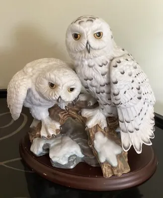 Maruri Usa Eyes Of The Night Snowy Owls (w25-1)~Porcelain Sculpture Figurine • $79.99