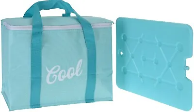 20 Litre Cooler Bag Picnic Insulated Bag With Free Large Ice Pack • £14.99