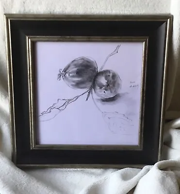 Charcoal And Pencil Sketch Of Apples  Still Life In 28x28 Cm Frame • £40