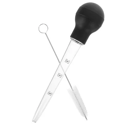 Chicken Baster Glass Turkey Baster Oven Baster Dripless Baster Kitchen Baster • £7.74