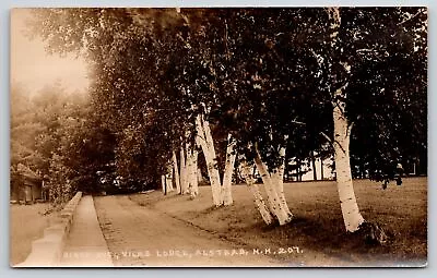 Alstead New Hampshire~Birch Avenue~Vilas Lodge~Birches~c1910 RPPC • $14