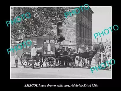 OLD 8x6 HISTORIC PHOTO OF ADELAIDE SA AMSCOL MILK & DAIRY Co HORSE CART C1920s • $9