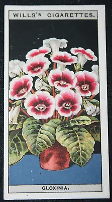 £3.99 • Buy GLOXINIA  Original 1925 Illustrated Botanical Card  EB26