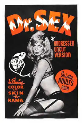 1964 DR. SEX VINTAGE ADULT FILM MOVIE POSTER PRINT 24x16 9MIL PAPER • $25.95