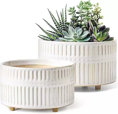 Succulent Pots 6.5+8 Inch Ceramic Indoor Plant Pot With Drainage Hole Modern R • $52.88