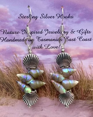 Maireener Shell & Silver Scallop Drop Earrings ~Tasmanian Rare Shell~ • $99