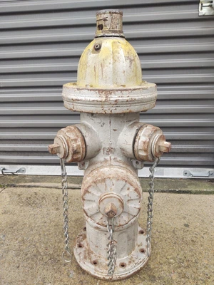 $195 • Buy Mueller Chattanooga Tennessee 1980  Fire Hydrant