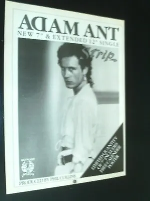 ADAM AND THE ANTS  - ADAM ANT - GOODY TWO LOT X 3 -   POSTER ADS 1980s Original • £2.99