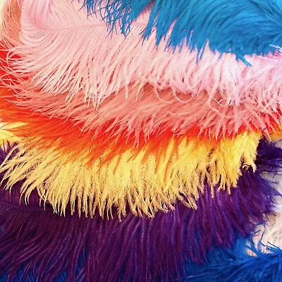 Individual Ostrich Feathers 50-55 Cm 12 Colours Decorative Feathers Wedding • £3.59