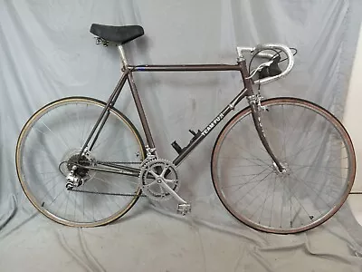 1984 Fuji Team Racing Road Bike Large 58cm Lugged Chromoly Steel Fast US Shipper • $454.98