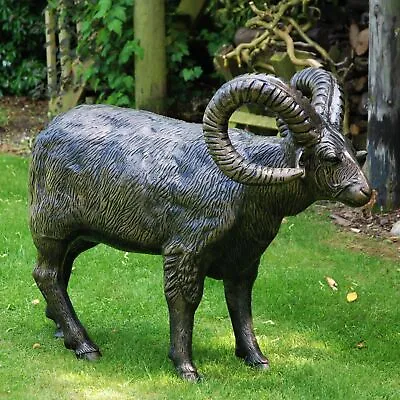 Manx Loaghtan Ram Life-Size Bronze Metal Garden Statue • £1349.99
