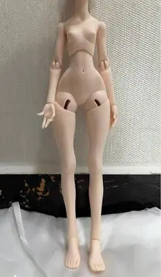 1/4 BJD Doll Lillycat Girl Body B59 - Only Body (No Head) • $109.99