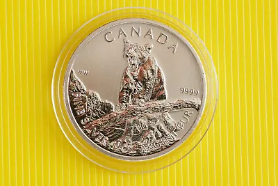 2012 1oz .9999 Fine Silver Cougar Wildlife Series Canada 5 Dollars (2255) • £35