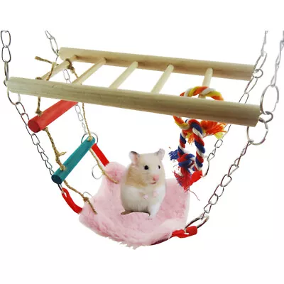  Hamster Hammock Climber Ladder Wooden Bamboo Swing Squirrel • £10.75