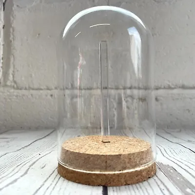 £15 • Buy 1 X Glass Dome Cloche Display Bell Jar Cork Base With Perspex Mount 12cm X 8cm