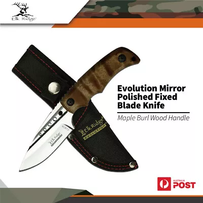 Elk Ridge Evolution Mirror Polished Fixed Blade Knife Maple Burl Wood Handle • $68.50