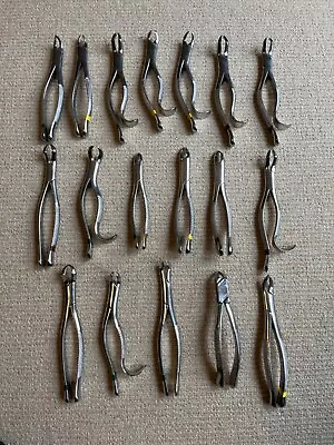 18 Dental Extracting Instruments - Forceps - Pliers -Miltex Lorenz Tarno • $270