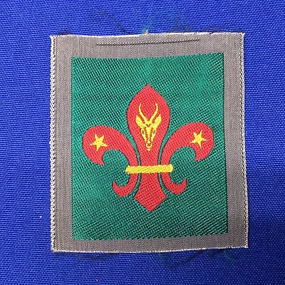 Boy Scout ??? International Patch Traded For @ NordJamb75 244B1 • $9.99