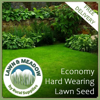 Economy Hard Wearing Grass Seed For Garden Lawns High Quality Fast Growing G KG • £190