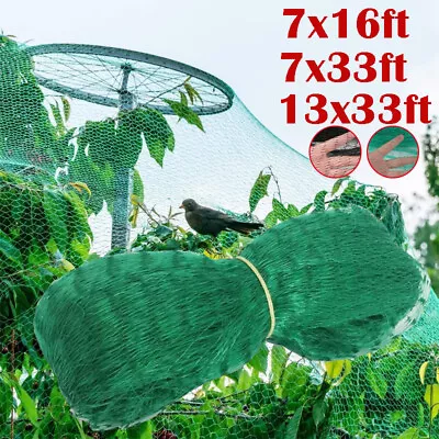 Anti Bird Netting Garden Netting Protect Mesh Fruit And Vegetables From Birds • $12.59