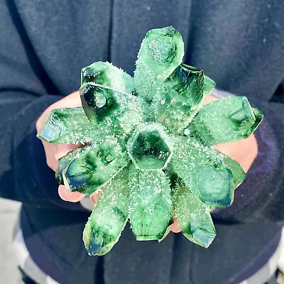 1.26LB New Find Green Phantom Quartz Crystal Cluster Mineral Specimen Healing • $0.99