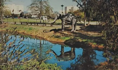 Labrea Tar Pits Los Angeles CA Elephant Postcard • $7