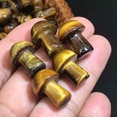 10pc Natural Tiger's Eye Mushroom Quartz Crystal Reiki Healing Gem Random • $5