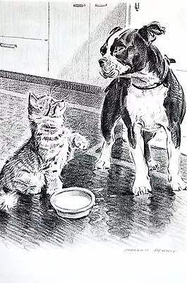 Morgan Dennis 1946 BOSTON TERRIER PUPPY And KITTEN CAT Vintage Matted Dog Print • $25